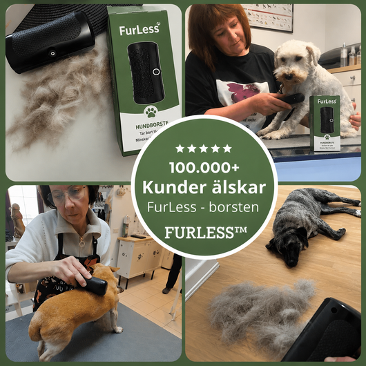 Furless Hundborste - Slipp hundhår överallt i hemmet