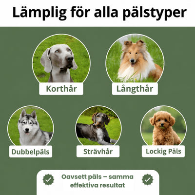 Furless Hundborste - Slipp hundhår överallt i hemmet