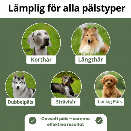 Furless Hundborste - Slipp hundhår överallt i hemmet